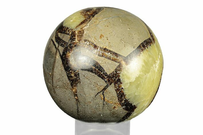 Polished Septarian Sphere - Madagascar #260039